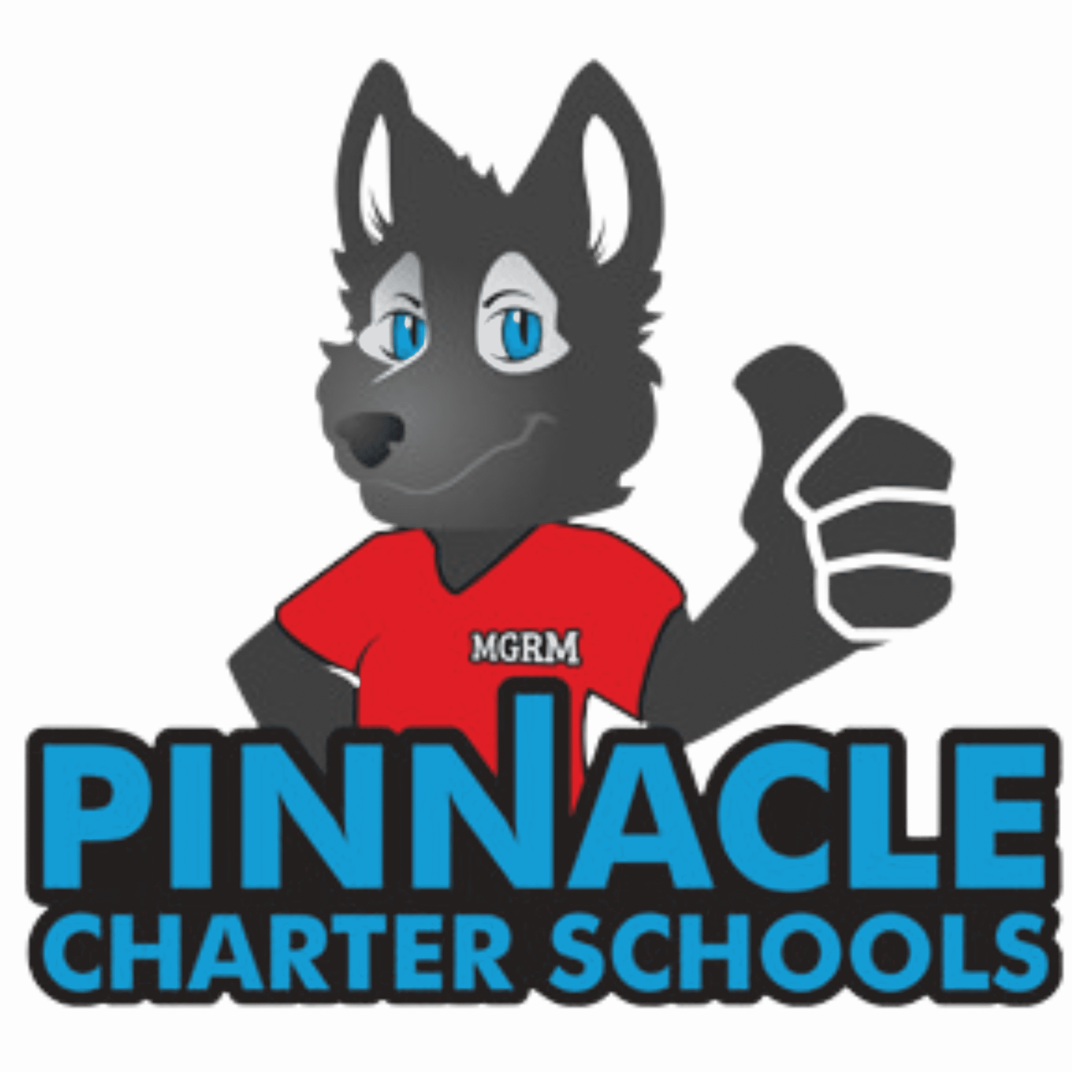 Pinnacle Charter Schools